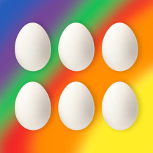 Sorter jajka 6szt