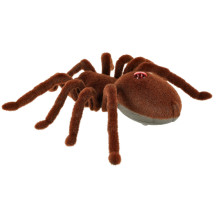 Pająk Tarantula RC
