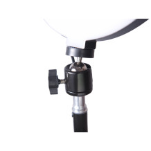 Lampa ring 60W