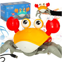 Krab czerwony