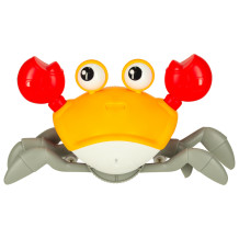 Krab czerwony