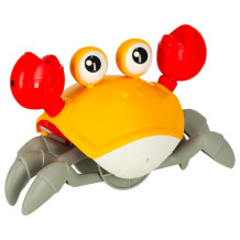 Krab czerwony