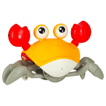 Krab czerwony
