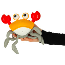 Krab czerwony