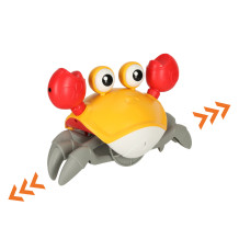 Krab czerwony