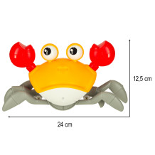 Krab czerwony