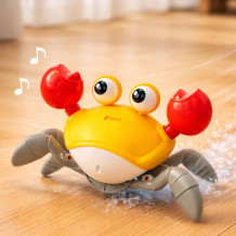 Krab czerwony