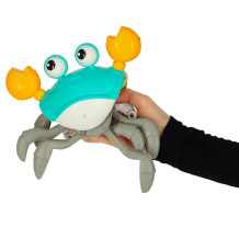 Krab uciekający zielony