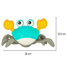 Krab uciekający zielony