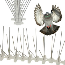Kolce metalowe gołębie