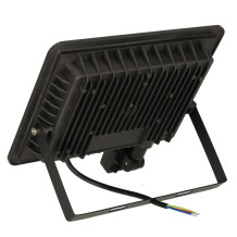 Reflektor 100W
