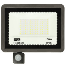 Reflektor 100W