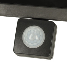 Reflektor 100W
