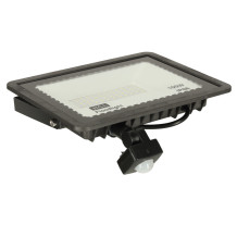 Reflektor 100W