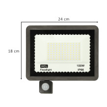 Reflektor 100W