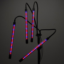 Lampa grow na statywie