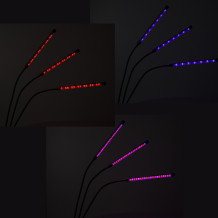 Lampa do roślin LED 3 żarówki