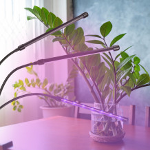 Lampa do roślin LED 3 żarówki