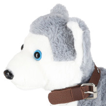 Piesek Husky interaktywny