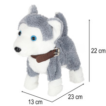 Piesek Husky interaktywny