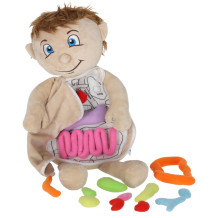 Lalka anatomia chłopiec