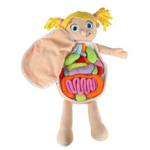 Lalka anatomia dziewczynka