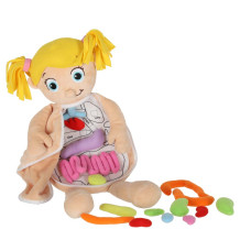 Lalka anatomia dziewczynka
