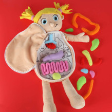 Lalka anatomia dziewczynka