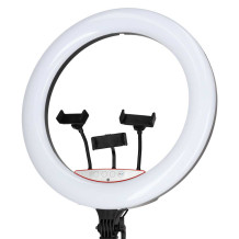 Lampa ring LED RGB